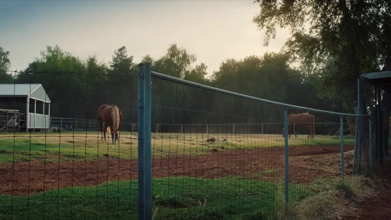 No-climb horse fence with pipe top rail